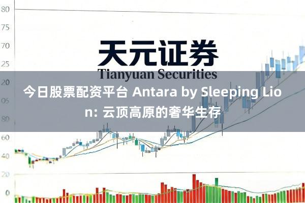 今日股票配资平台 Antara by Sleeping Lion: 云顶高原的奢华生存